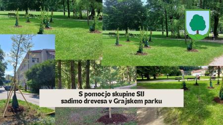 Sadnja dreves z donacijo SIJ